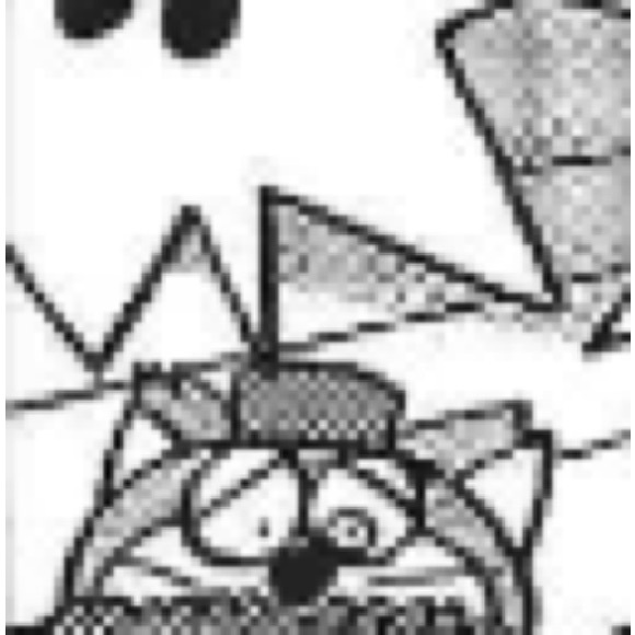 Meet your Posher, Tonka Jahari - Picture 7 of 12